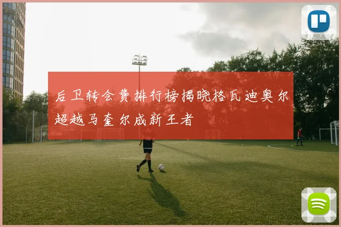 后卫转会费排行榜揭晓格瓦迪奥尔超越马奎尔成新王者