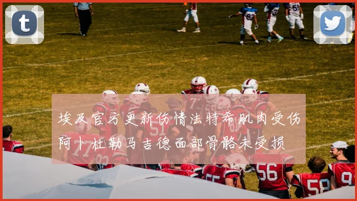 埃及官方更新伤情法特希肌肉受伤阿卜杜勒马吉德面部骨骼未受损